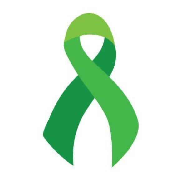 Black and Green Stretchable Wristband - support brain injury/TBI/ assaults - Picture 2 of 5